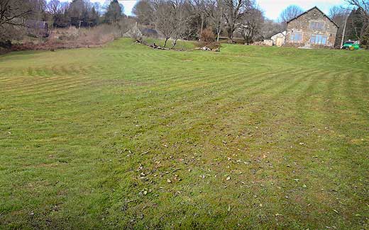 A nicely mowed field